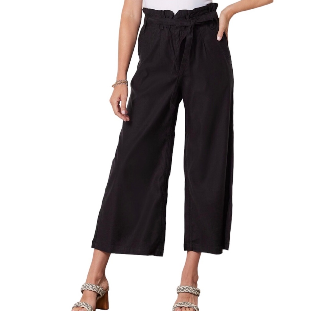 NWT Hudson Jeans Paper Bag Wide Leg Cropped Trousers